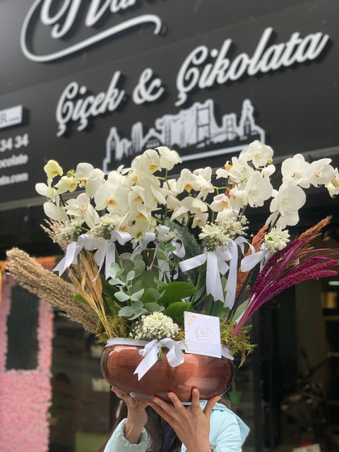 10 BRANCHES OF SPECIAL IMPORTED ORCHIDS 🌺