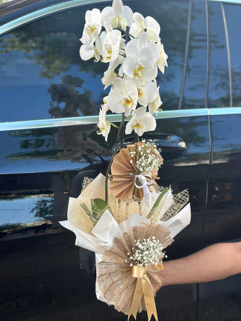 DOUBLE BRANCH WHITE ORCHID 🤍