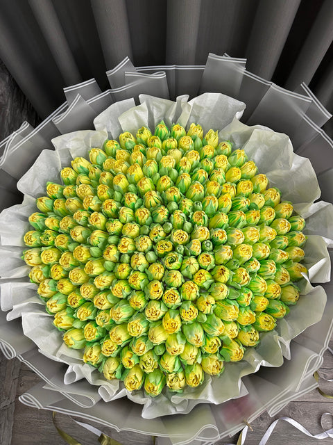 Dev 2 Metre  Çap Yenilebilir Buket 🍏