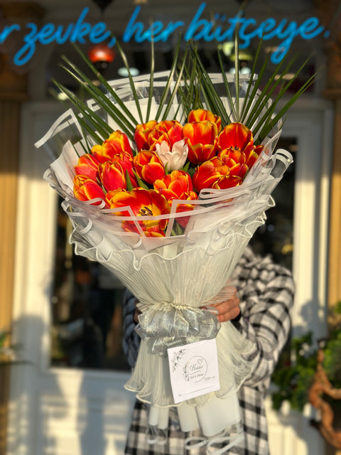 ORANGE TULIP WONDER 🧡