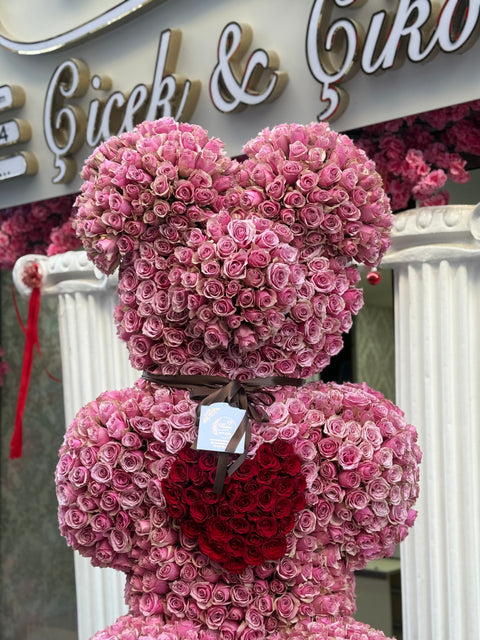 DEV AYI TEDDY