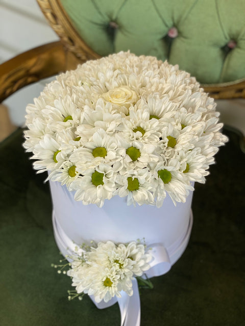 PAPATYA DOLU KUTU 🤩