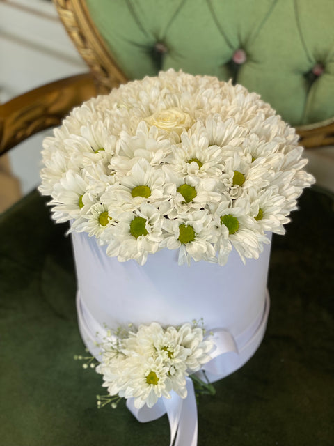 PAPATYA DOLU KUTU 🤩