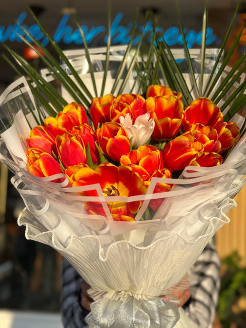 ORANGE TULIP WONDER 🧡