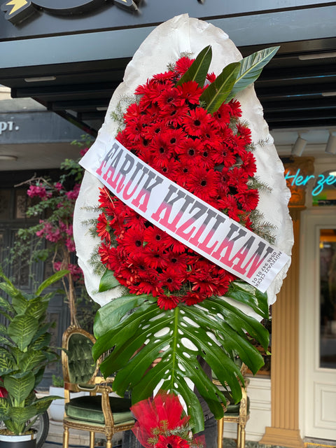 SPECIAL SINGLE LAYER CERENK⚜️