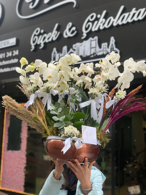 10 BRANCHES OF SPECIAL IMPORTED ORCHIDS 🌺