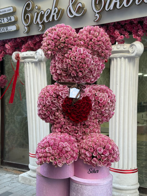 DEV AYI TEDDY