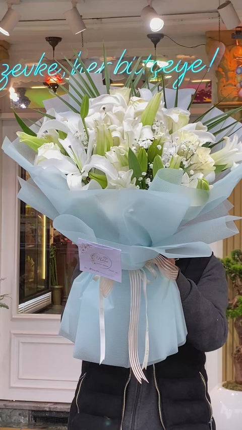 KAZABİLANKA LİLYUM 🤍