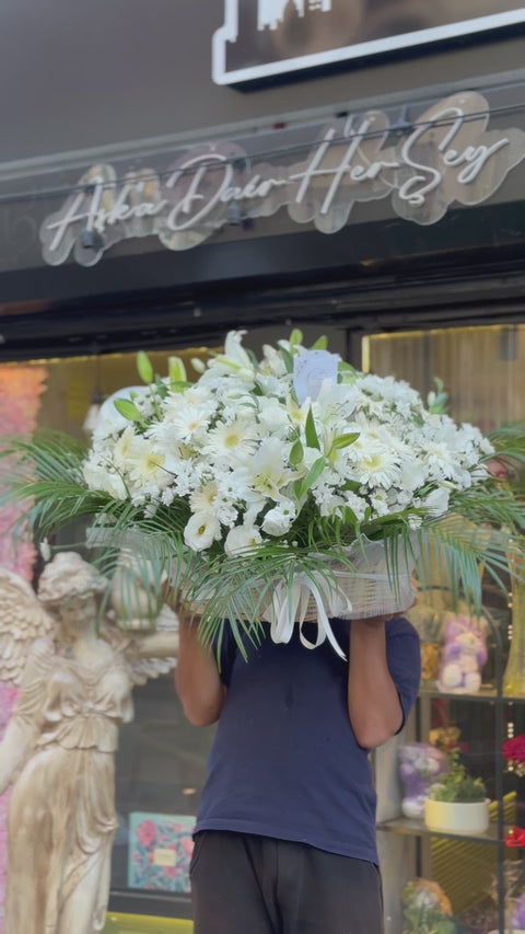 DAISY IN A GIANT BASKET 🌼